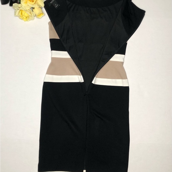 White House Black Market Sleeveless White & Tan Striped Stretch Sheath Dress - Picture 7 of 7